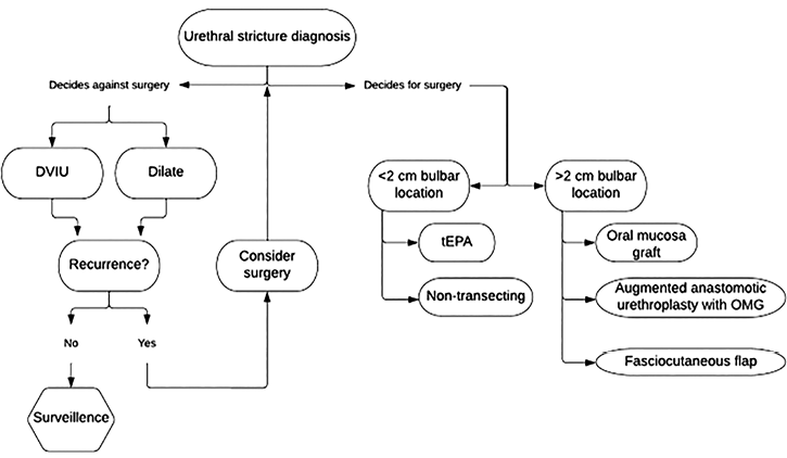 Patterns Of Care In The Management Of Urethral Stricture Disease ...